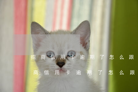 招商信用卡逾期了怎么跟銀行說還本金-招商信用卡逾期了怎么跟銀行說還本金了