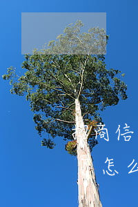 招商信用卡逾期了怎么还款 招商信用卡逾期了怎么还款啊