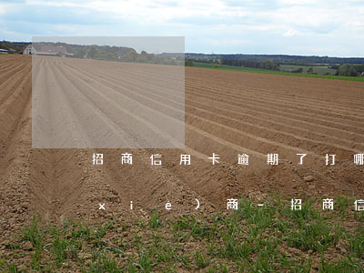 招商信用卡逾期了打哪個(gè)電話協(xié)商-招商信用卡逾期了打哪個(gè)電話協(xié)商打了怎么說(shuō)