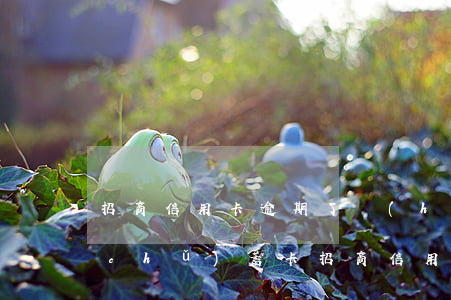 招商信用卡逾期了會(huì)不秒扣儲(chǔ)蓄卡(招商信用卡逾期了會(huì)不秒扣儲(chǔ)蓄卡嘛)
