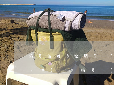 招商信用卡逾期了會(huì)被凍結(jié)嗎-招商沒(méi)逾期信用卡被凍結(jié)