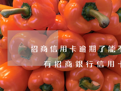 招商信用卡逾期了能不能協(xié)商(有沒有招商銀行信用卡逾期的)