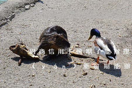 招商信用卡逾期了能辦理儲蓄卡嗎-招商嚴(yán)重逾期能辦儲蓄卡嗎
