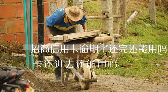 招商信用卡逾期了还完还能用吗(逾期的信用卡还进去还能用吗)