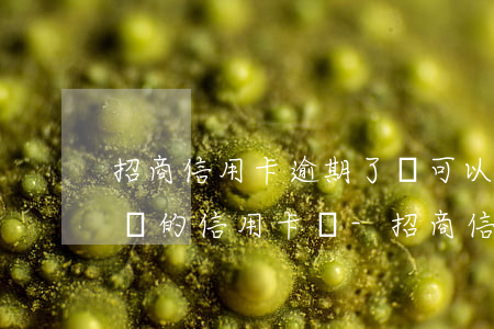招商信用卡逾期了還可以申請(qǐng)別的信用卡嗎-招商信用卡逾期了還可以申請(qǐng)別的信用卡嗎