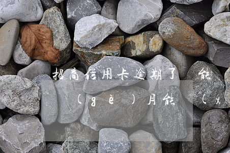 招商信用卡逾期了還能辦分期嗎(招商逾期4個(gè)月能協(xié)商分期嗎)