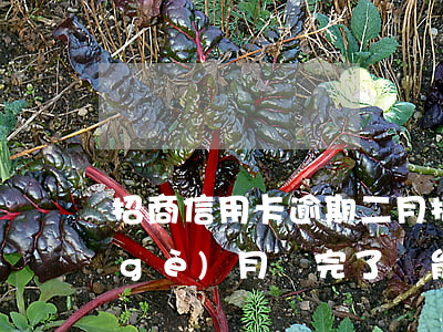 招商信用卡逾期二月(招商銀行卡逾期2個(gè)月還完了還能繼續(xù)用么)