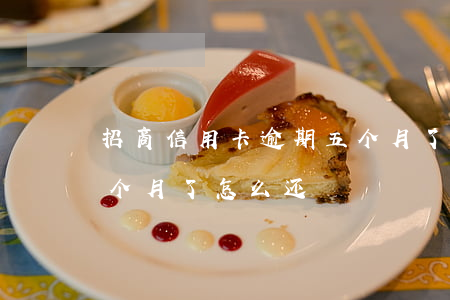 招商信用卡逾期五个月了(招商信用卡逾期五个月了怎么还)