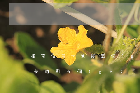 招商信用卡逾期五個(gè)月了(招商信用卡逾期五個(gè)月了怎么還)