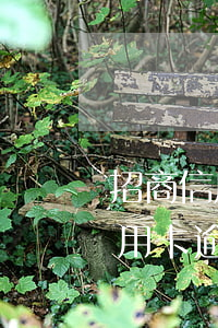 招商信用卡逾期五個月有什么后果-招商信用卡逾期五個月有什么后果嗎