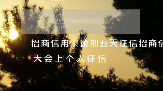 招商信用卡逾期五天征信(招商信用卡逾期几天会上个人征信)