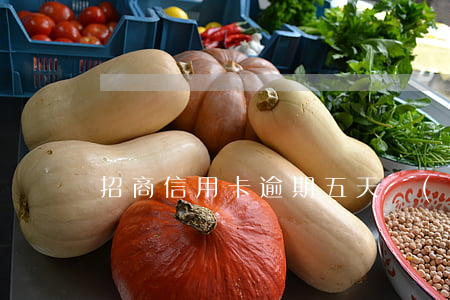 招商信用卡逾期五天會(huì)上征信嗎
