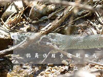 招商信用卡逾期五天還款(招商信用卡逾期五天還款會有征信記錄嗎)