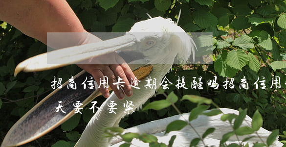 招商信用卡逾期会提醒吗(招商信用卡逾期一天要不要紧)