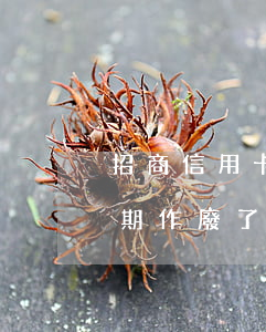 招商信用卡逾期作廢了怎么辦(招商信用卡逾期作廢了怎么辦理)