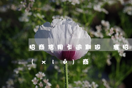 招商信用卡逾期做緩催(招商逾期催收主動協(xié)商)