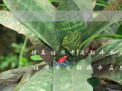 招商信用卡逾期停卡后怎么恢复使用-招商信用卡逾期停卡后怎么恢复使用 首先需要这样做