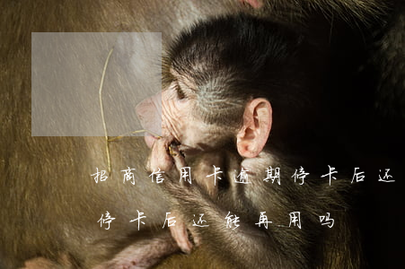 招商信用卡逾期停卡后还能用吗-招商逾期停卡后还能再用吗