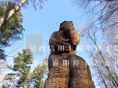 招商信用卡逾期停卡怎么协商还款-招商信用卡逾期停卡怎么协商还款的