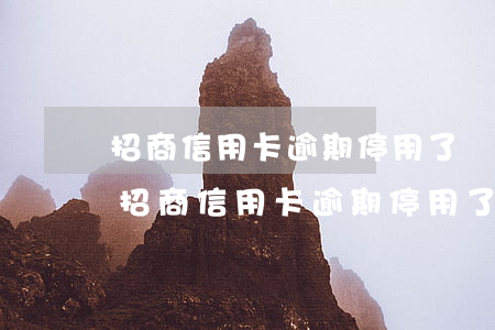 招商信用卡逾期停用了還清后還可以用嗎-招商信用卡逾期停用了還清后還可以用嗎
