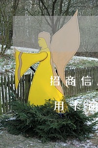 招商信用卡逾期储蓄卡进账秒扣吗-招商信用卡逾期储蓄卡进账秒扣吗是真的吗