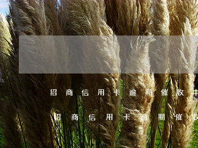 招商信用卡逾期催收中心不給你打電話了-招商信用卡逾期催收中心不給你打電話了怎么辦