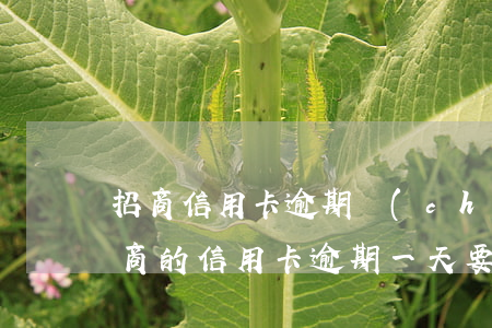 招商信用卡逾期儲(chǔ)蓄卡能用嗎 招商的信用卡逾期一天要緊嗎