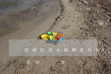 招商信用卡逾期免息申請(招商信用卡逾期免息申請條件)