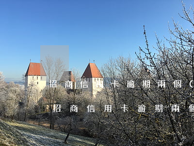 招商信用卡逾期兩個(gè)月了怎么辦-招商信用卡逾期兩個(gè)月了怎么辦啊