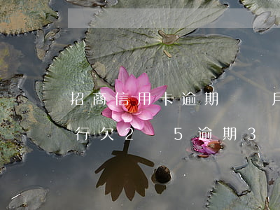 招商信用卡逾期兩個月1w的額度-招商銀行欠2萬5逾期3個月了,現(xiàn)在要我還全額