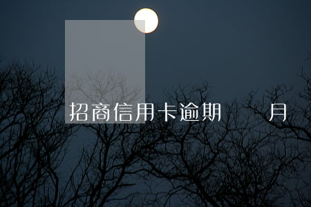招商信用卡逾期兩個月會降額幾次