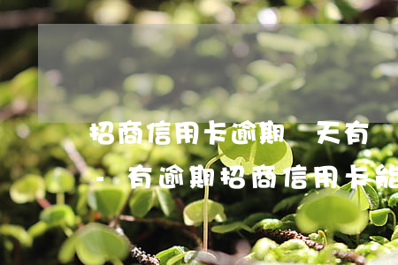 招商信用卡逾期兩天有關(guān)系嗎-有逾期招商信用卡能申請(qǐng)通過(guò)嗎