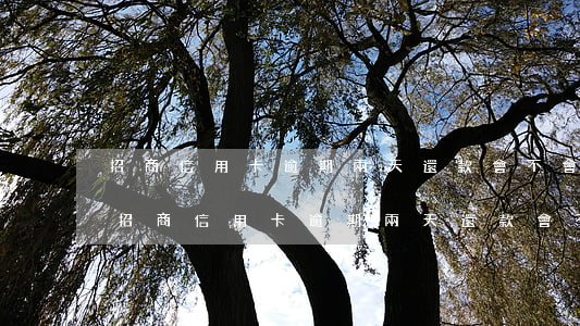 招商信用卡逾期兩天還款會不會影響征信-招商信用卡逾期兩天還款會不會影響征信記錄