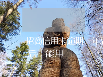 招商信用卡逾期兩年后(招商信用卡逾期兩年后還能用嗎)