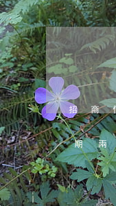 招商信用卡逾期兩年會坐牢嗎 招商信用卡逾期兩年會坐牢嗎