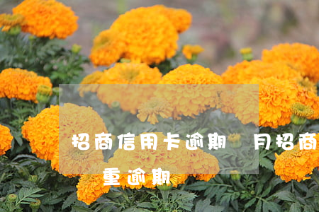 招商信用卡逾期兩月(招商逾期兩個月就算是嚴重逾期嗎)