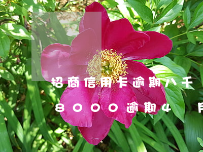 招商信用卡逾期八千兩個月(招商銀行信用卡8000逾期4個月會上門嗎)