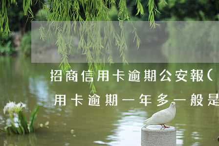 招商信用卡逾期公安報(bào)案(招商信用卡逾期一年多一般是報(bào)警還是起訴)