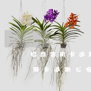 招商信用卡逾期公安局打電話拘留-招商信用卡逾期公安局打電話拘留多久