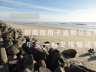 招商信用卡逾期公安报案(招商信用卡逾期一年多一般是报警还是起诉)