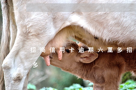 招商信用卡逾期六萬多（招商信用卡逾期六萬多）