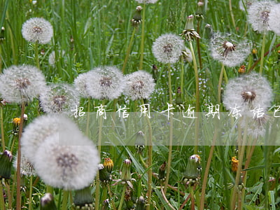 招商信用卡逾期冻结已解冻(招商信用卡 逾期)