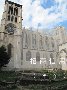 招商信用卡逾期凍結(jié)了怎么恢復(fù)-招商信用卡逾期凍結(jié)了怎么恢復(fù)使用