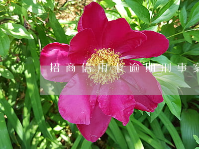 招商信用卡逾期刑事案件起訴(招商逾期被起訴)