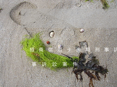 招商信用卡逾期刑事訴訟(招商信用卡逾期刑事訴訟案件)