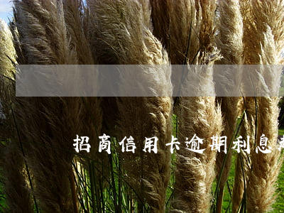 招商信用卡逾期利息越來越多(招商逾期利息瘋漲)
