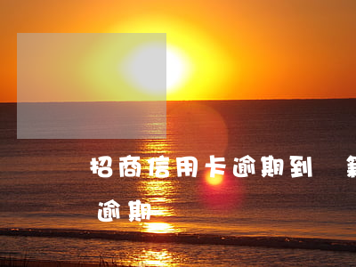 招商信用卡逾期到戶籍地起訴-招商信用卡 逾期