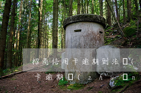 招商信用卡逾期到法務(wù)部(招商信用卡逾期轉(zhuǎn)法務(wù)部的都怎么樣了)