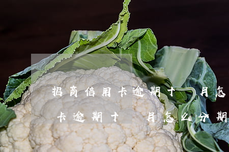 招商信用卡逾期十個月怎么分期-招商信用卡逾期十個月怎么分期還款