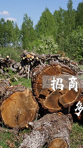 招商信用卡逾期十個月 欠招商銀行信用卡1萬多逾期半年多